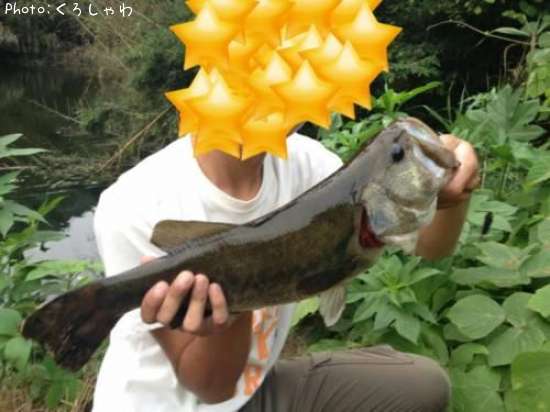 �֥�å��Х�