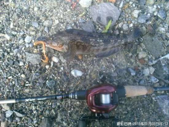 �����ʥ�