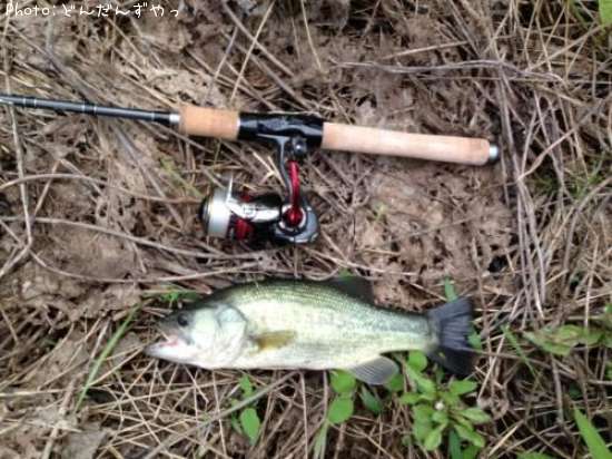 �֥�å��Х�