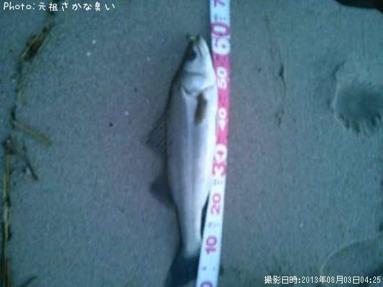 �����Х�