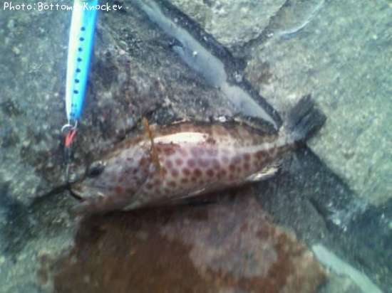 �������ϥ�