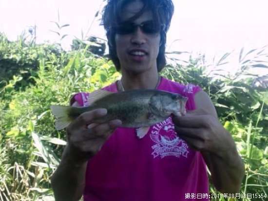 �֥�å��Х�