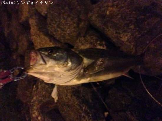 �����Х�