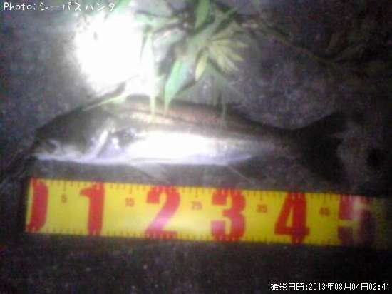 �����Х�