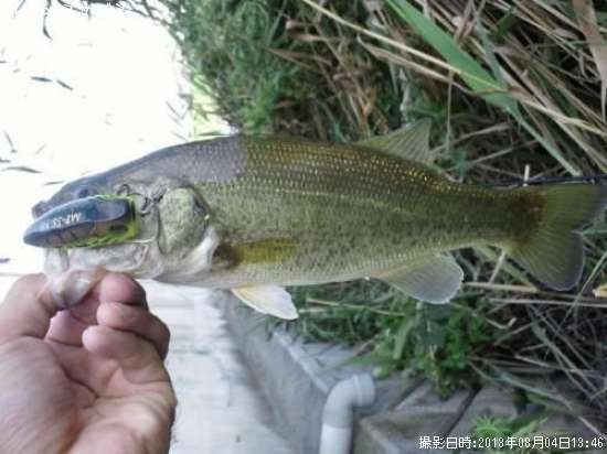 �֥�å��Х�