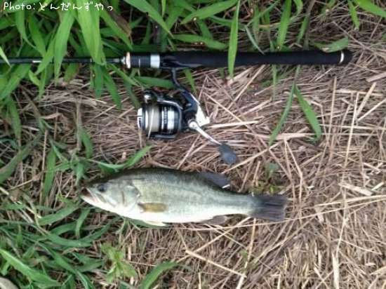 �֥�å��Х�