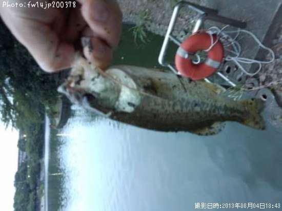 �֥�å��Х�