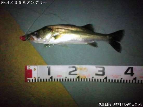 �����Х�