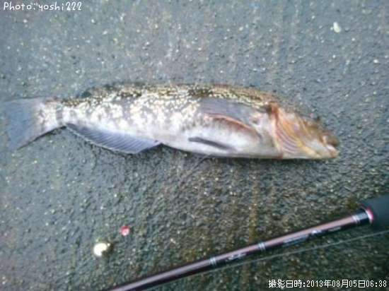 �����ʥ�