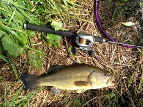 �֥�å��Х�