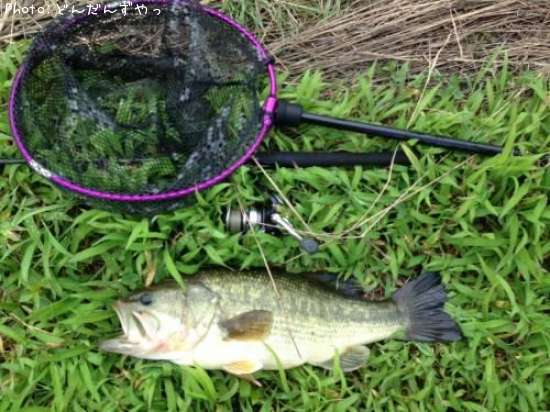 �֥�å��Х�