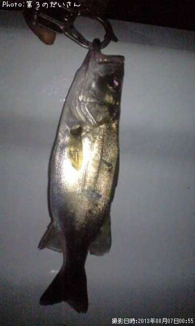 �����Х�