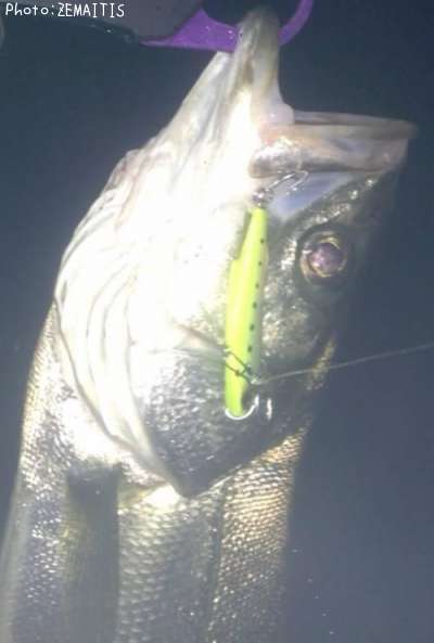 �����Х�