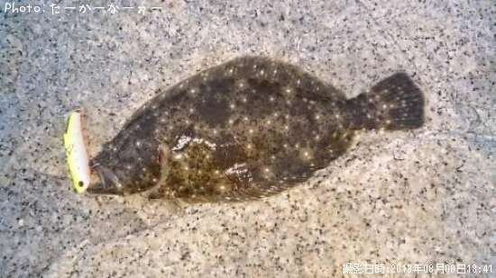 �����ʡ�������