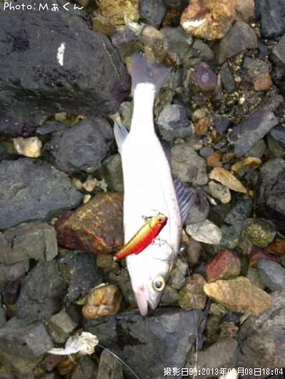 �����Х�