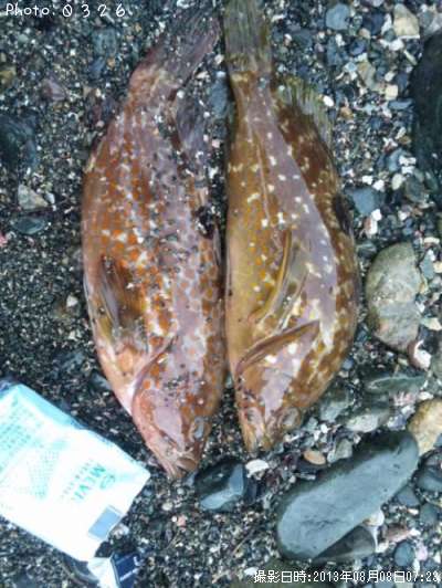 �����ϥ�