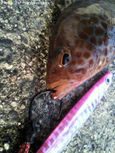 �������ϥ�