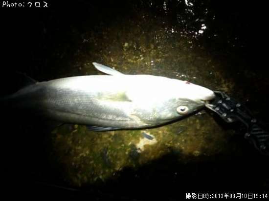 �����Х�