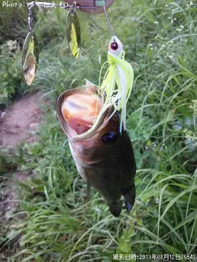 �֥�å��Х�