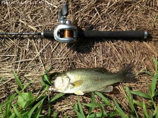 �֥�å��Х�