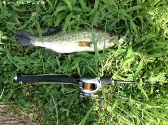 �֥�å��Х�