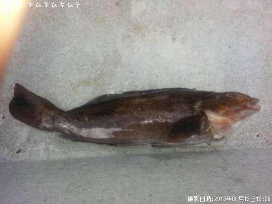 �����ʥ�