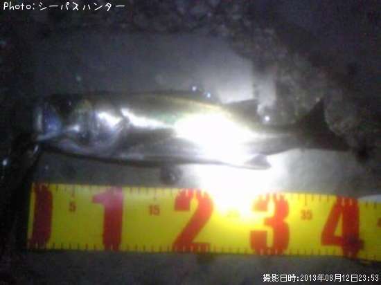 �����Х�