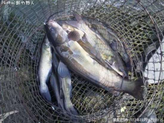 ����åȥե��å���