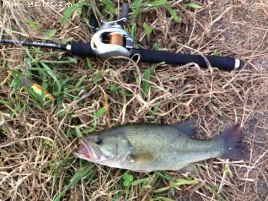 �֥�å��Х�