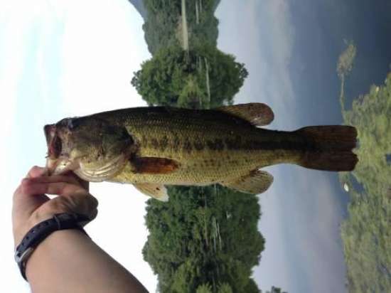 �֥�å��Х�