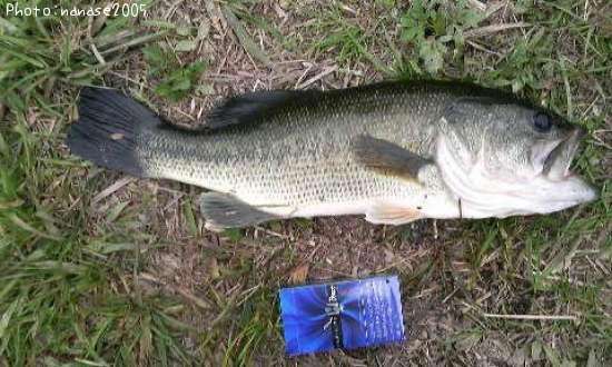 �֥�å��Х�