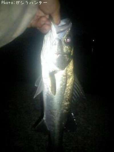 �����Х�