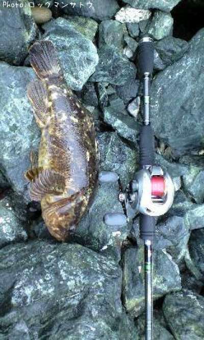 �٥å�������