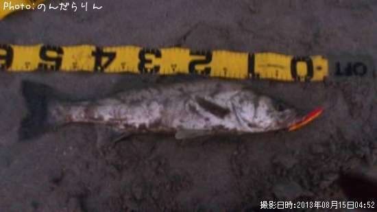 �����Х�