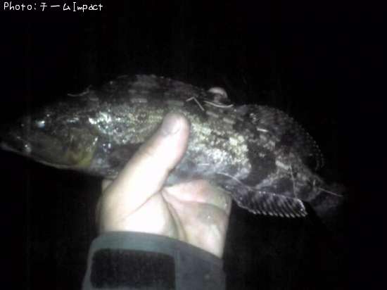 �����ʥ�