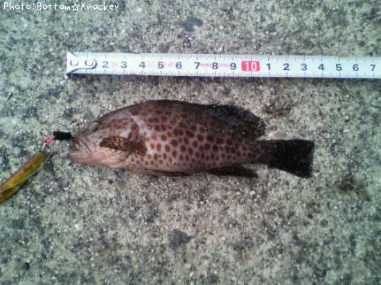 �������ϥ�