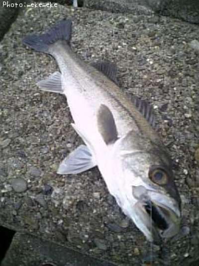 �����Х�