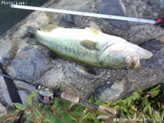 �֥�å��Х�