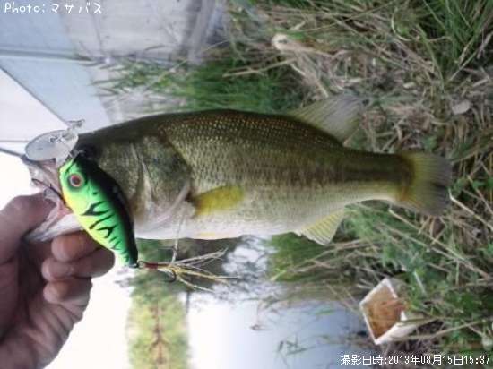 �֥�å��Х�