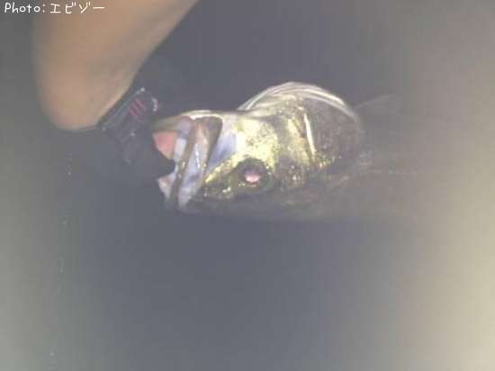 �����Х�