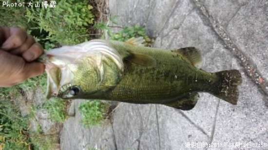 �֥�å��Х�