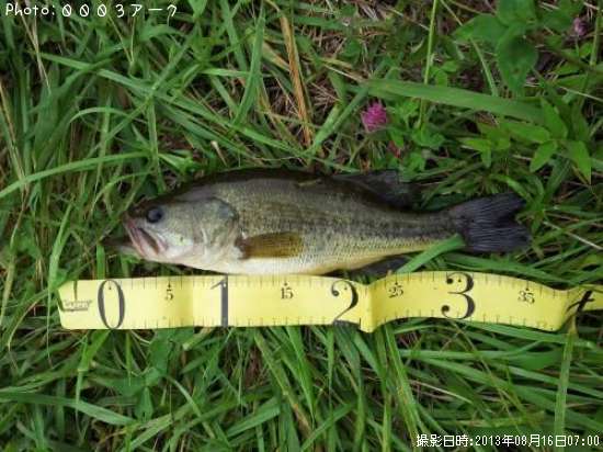 �֥�å��Х�