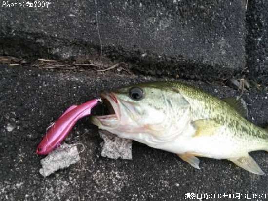 �֥�å��Х�