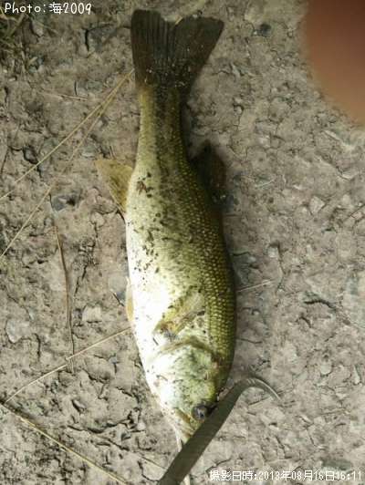 �֥�å��Х�