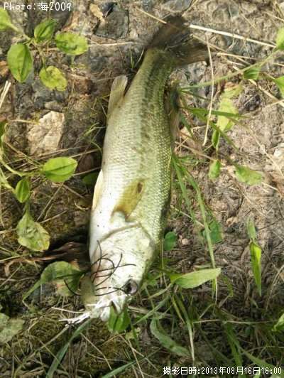 �֥�å��Х�