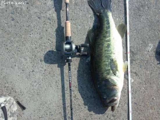 �֥�å��Х�