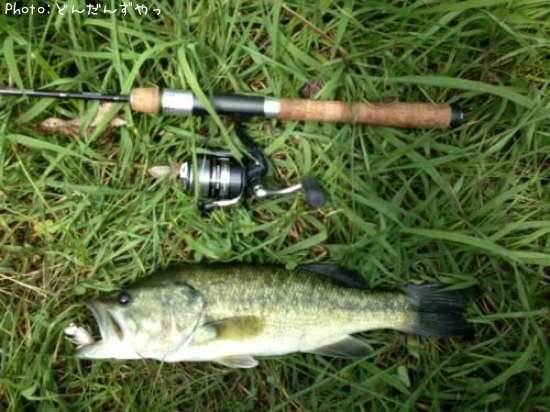 �֥�å��Х�