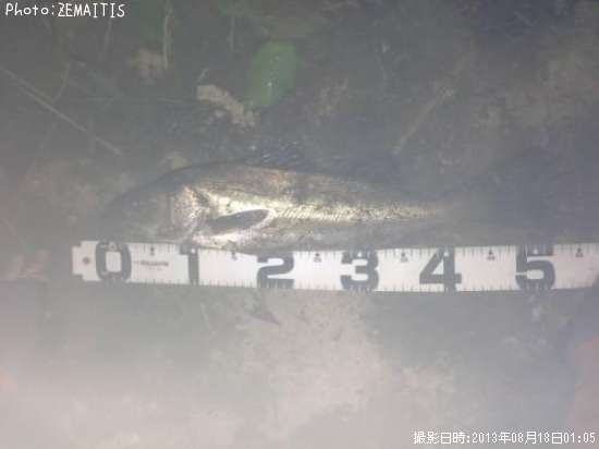 �����Х�