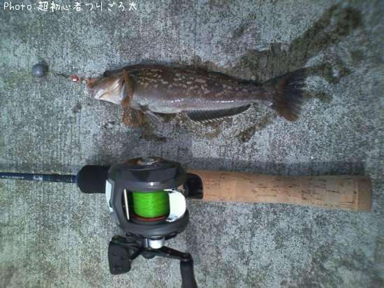 �����ʥ�