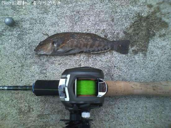 �����ʥ�